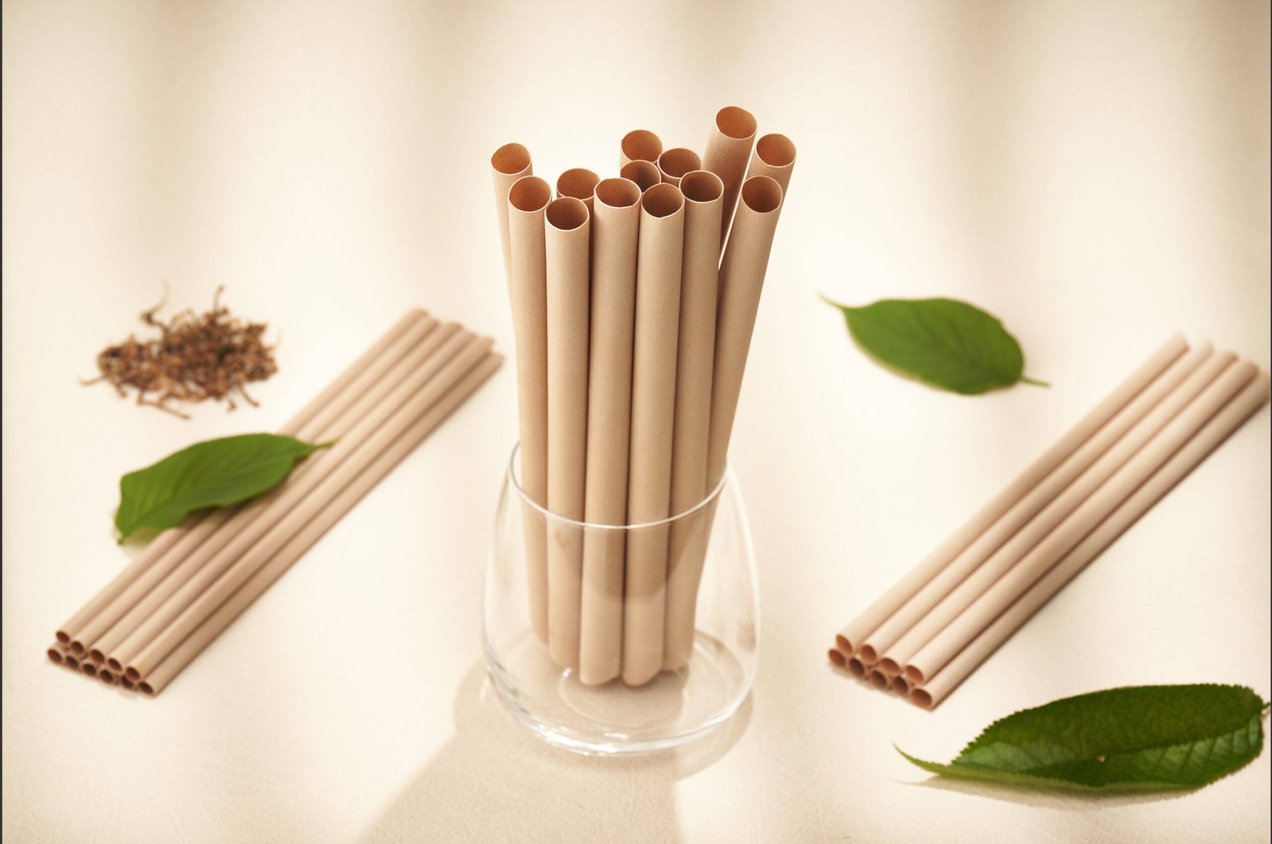 Tea Fiber Straws - Image 8